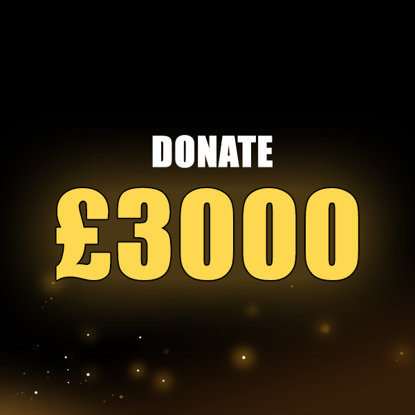 Donate £3000